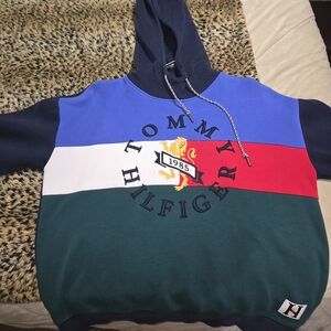 Tommy Hilfiger Blue Striped Shirt